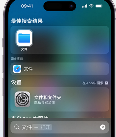 富阳apple维修中心分享iPhone文件应用中存储和找到下载文件 