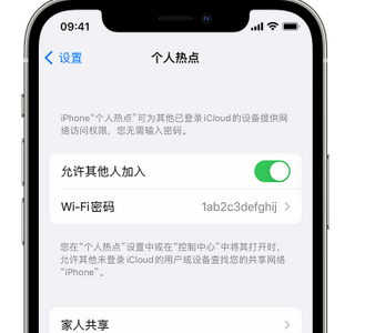 富阳apple服务站点分享iPhone上个人热点丢失了怎么办