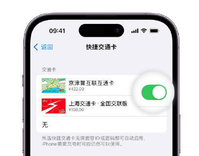 富阳apple维修点分享iPhone上更换Apple Pay快捷交通卡手绘卡面 