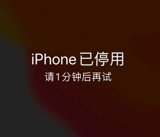 富阳苹果手机维修分享:iPhone 显示“不可用”或“已停用”怎么办？还能保留数据吗？ 