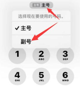 富阳苹果14维修店分享iPhone 14 Pro Max使用副卡打电话的方法 