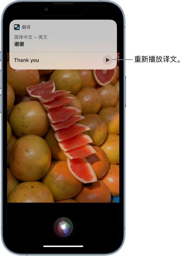 富阳苹果14维修分享 iPhone 14 机型中使用 Siri：了解 Siri 能帮你做什么 