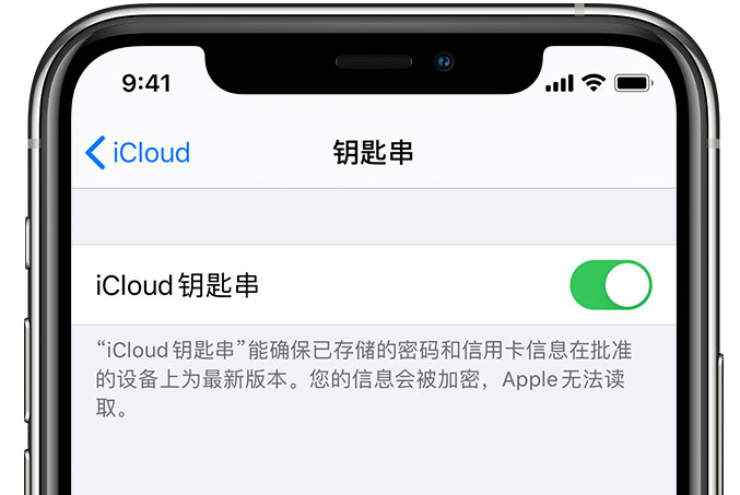 富阳苹果手机维修分享在 iPhone 上开启 iCloud 钥匙串之后会储存哪些信息 