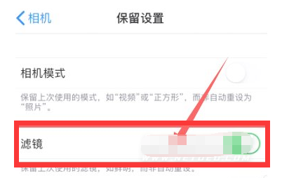 富阳苹果13维修分享iPhone13拍照有绿点是怎么回事 
